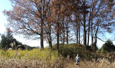 Mark Tolley (Tennessee Ancient Sites Conservancy) cuts brush at the larger Glass Mound.