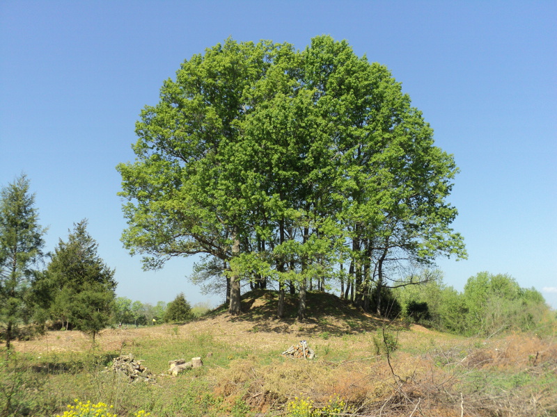 The larger mound at the Glass Mounds Site